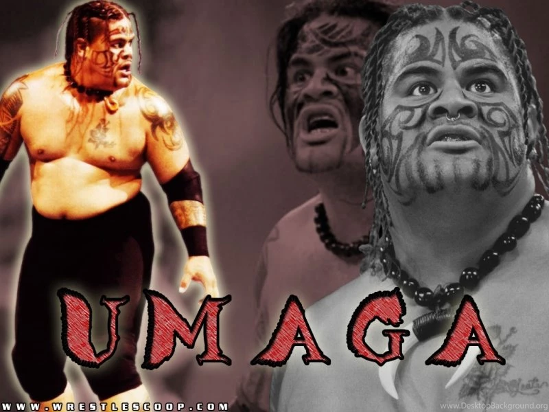 June 2011 ~ WWE Superstars,WWE Wallpapers,WWE Pictures