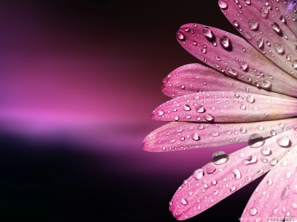 Beautiful Hd Wallpapers Collection (41+)