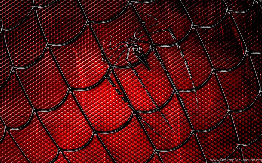 Pics, Facts, Funny Stuff About Animals & Nature Spiderman Web ...