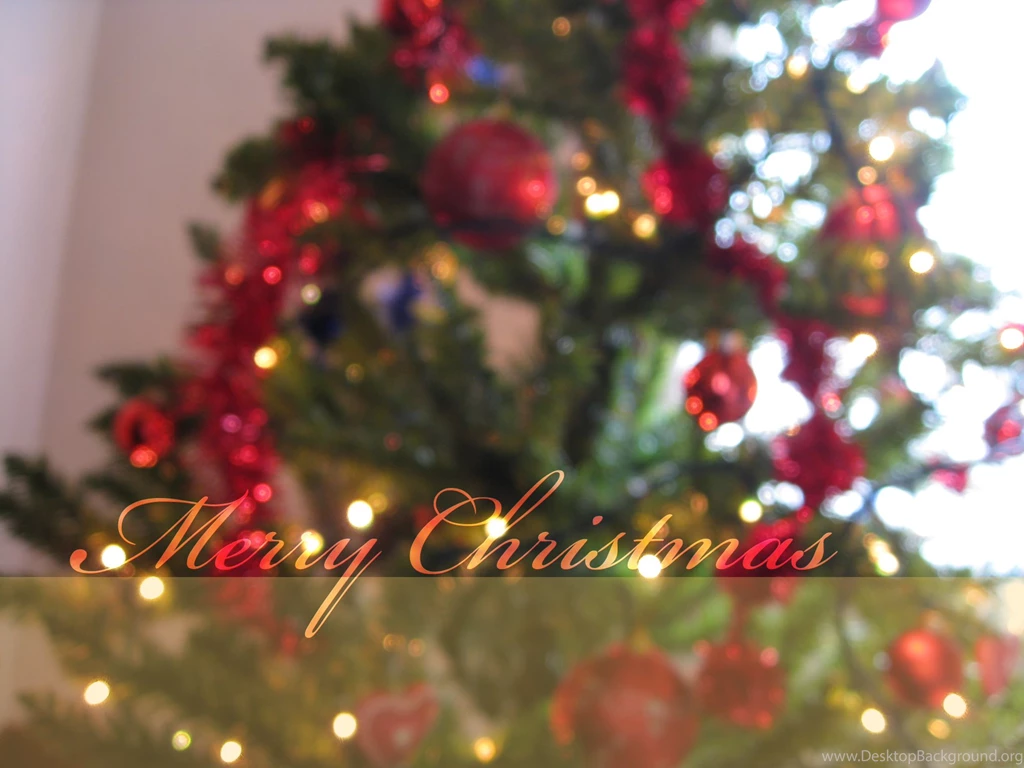 Merry Christmas Tree Wallpaper Backgrounds (15)