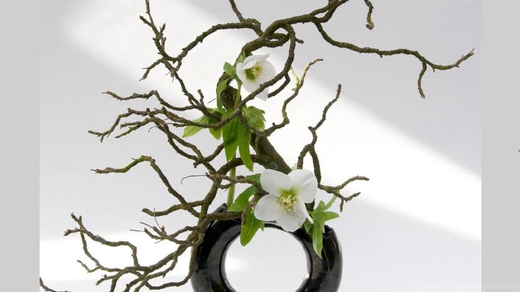 Ikebana   (