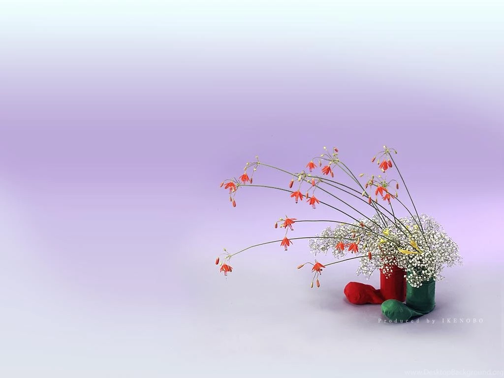 Ikebana Free Wallpapers (31 Photos) For Your Desktop, Download ...