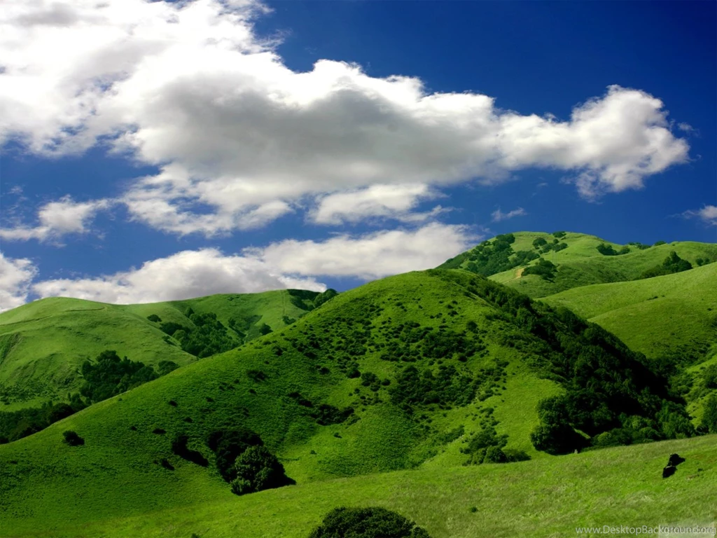Wallpapers Iphone One Tree Hill