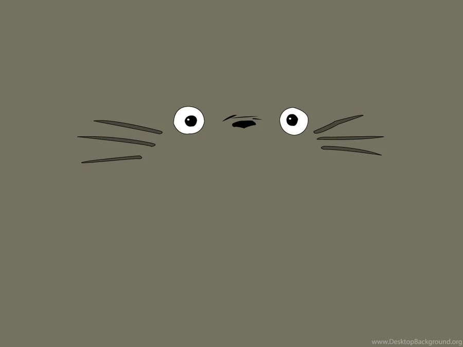 Totoro By Lires On DeviantArt