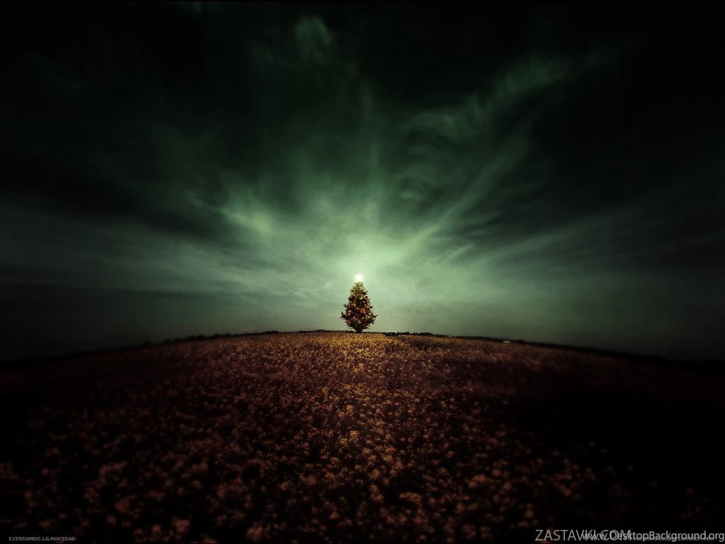 Wallpapers New Collection (36+)