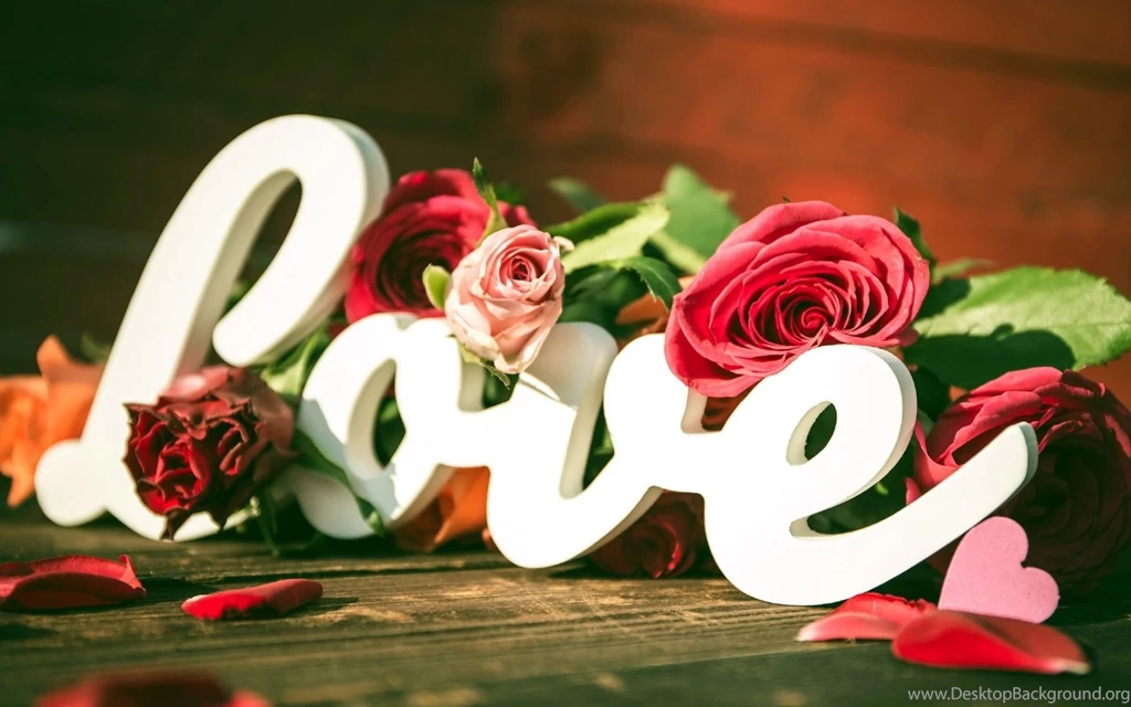 Beautiful Love Flower Desktop Wallpapers