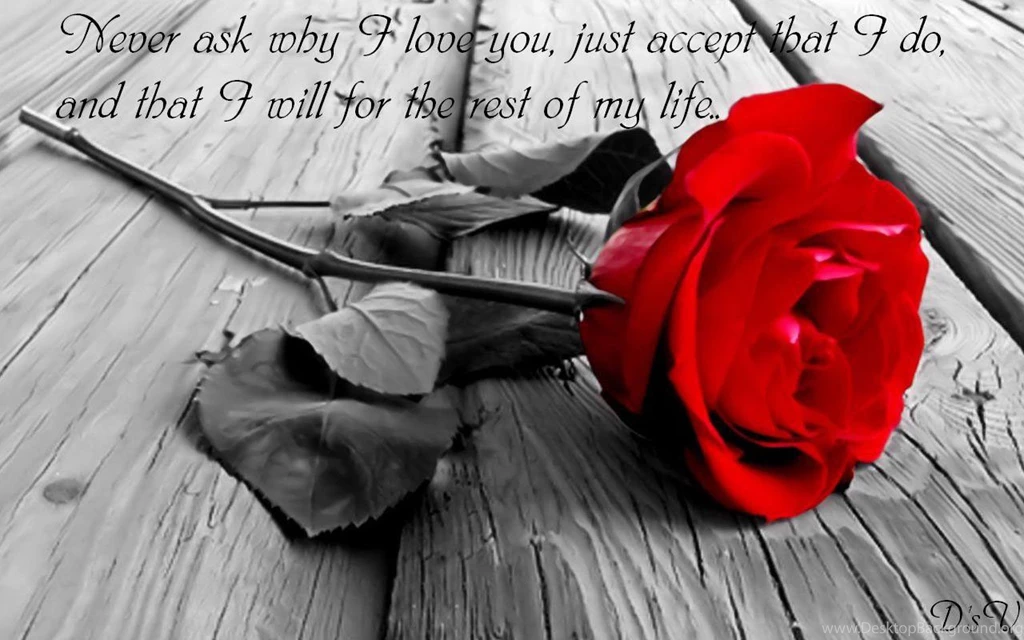 Beautiful Love Quotes Wallpapers HD Pictures
