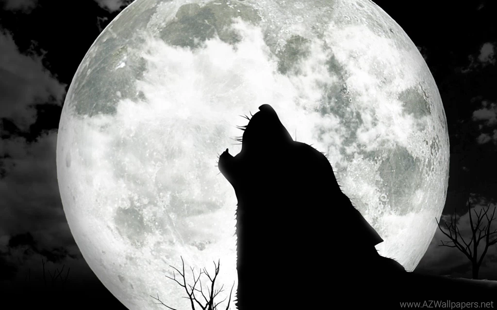 3D Wolf Full Moon Wallpapers For Backgrounds