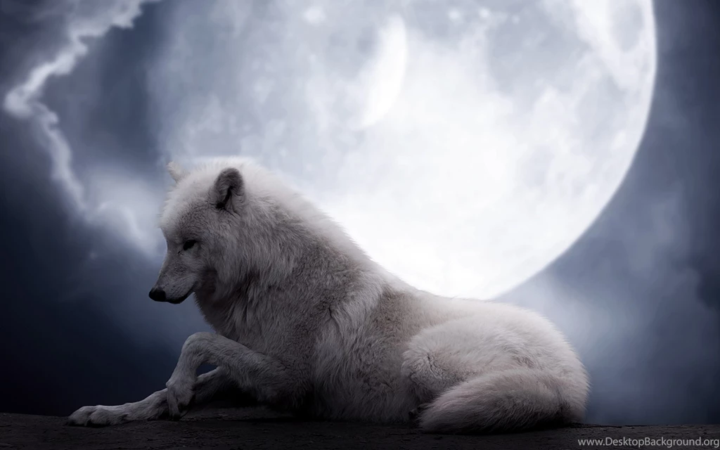 Wolf And Moon Wallpapers HD Download Of Wolf Moon