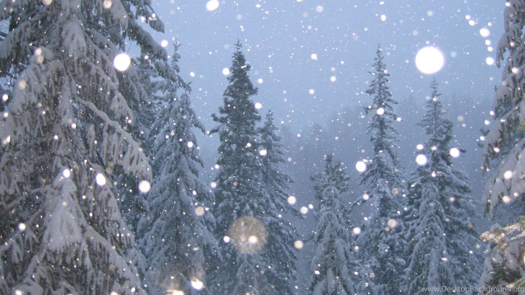 Real Snowflake Falling Wallpaper.