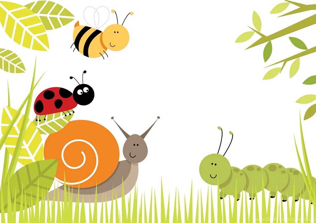 High Quality Cute Bug Wallpapers Gallsource.com