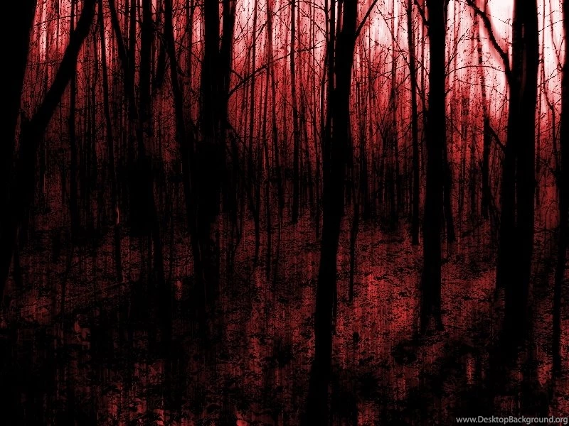 Bloody forest By TNorthface On DeviantArt