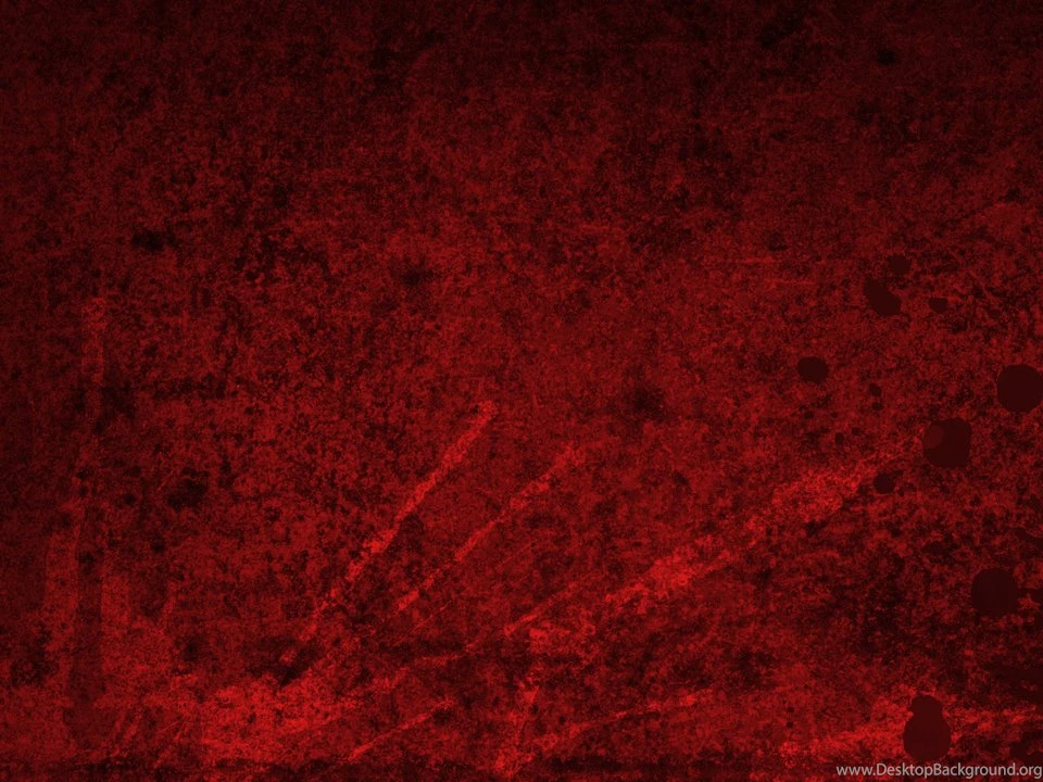 Imagebase: Free Stock Photography
