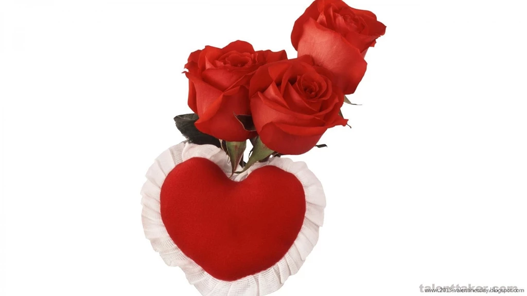 Www.rose Hd Wallpaper.