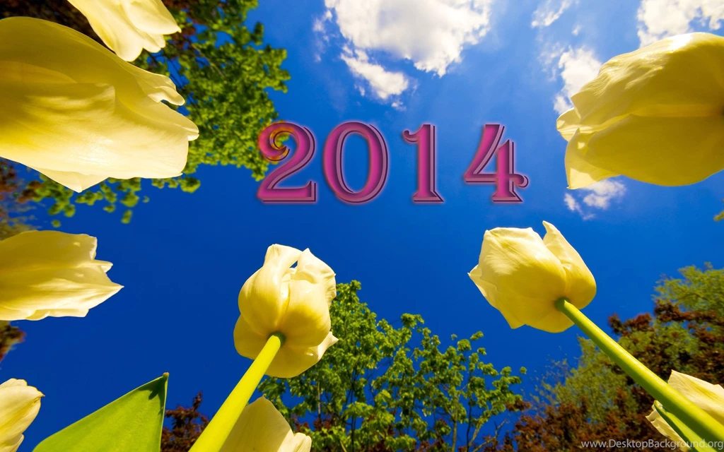 2014 Ros Free Hd Wallpapers Free Hd Wallpapers