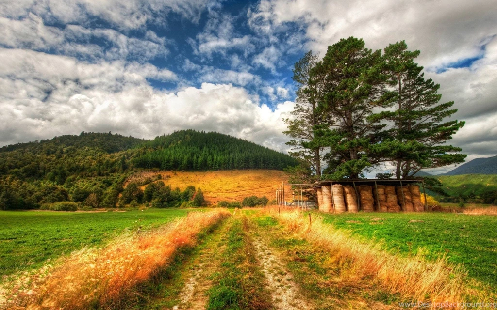 Scenic Farm Road Nature Wallpapers