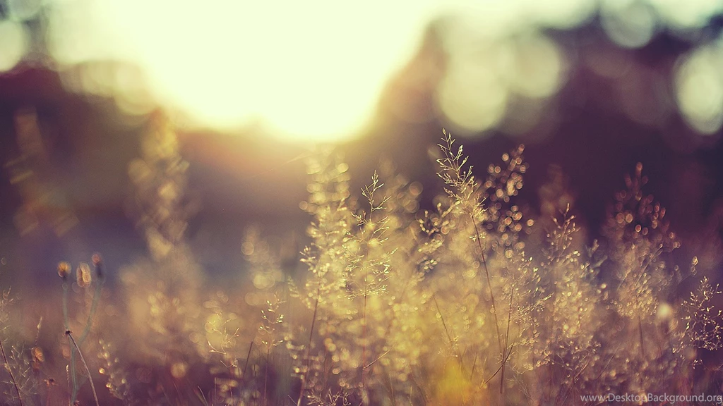 Beautiful World Wallpapers