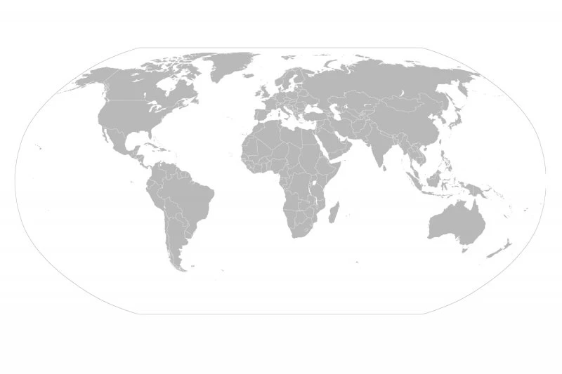 Grey Curved World Map Wall Mural
