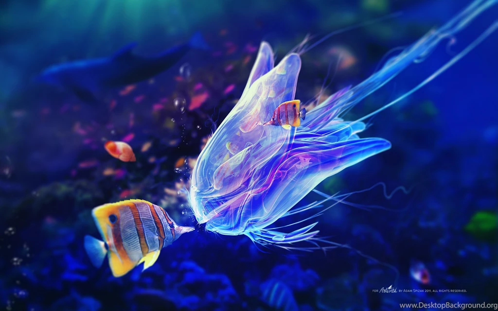 Underwater World, Jellyfish And Clown Fish Wallpaper,Underwater HD ...
