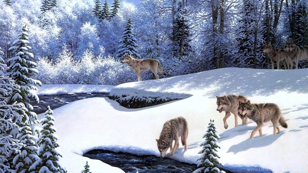 Winter Wolves Wallpapers HD Wallpaper Backgrounds Of Your Choice