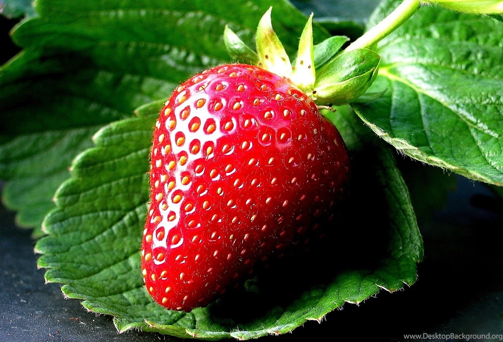 Strawberry Fruit HD Wallpapers
