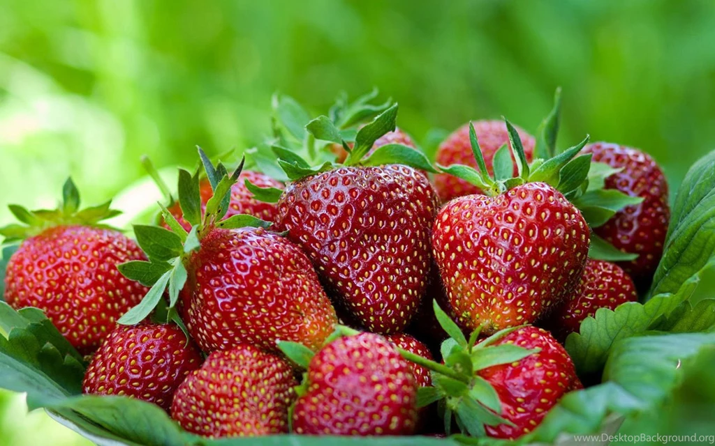 Strawberry HD Wallpaper, HD Wallpapers Downloads