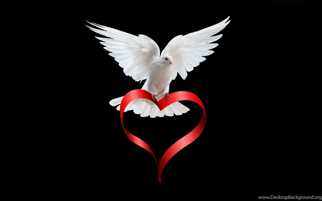 423 Love HD Wallpapers