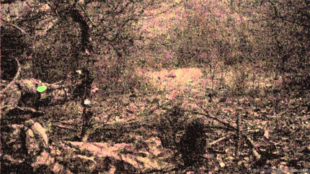 Deer Kill From The Ground Compound Bow Bow Ninja Deer Hunting ...