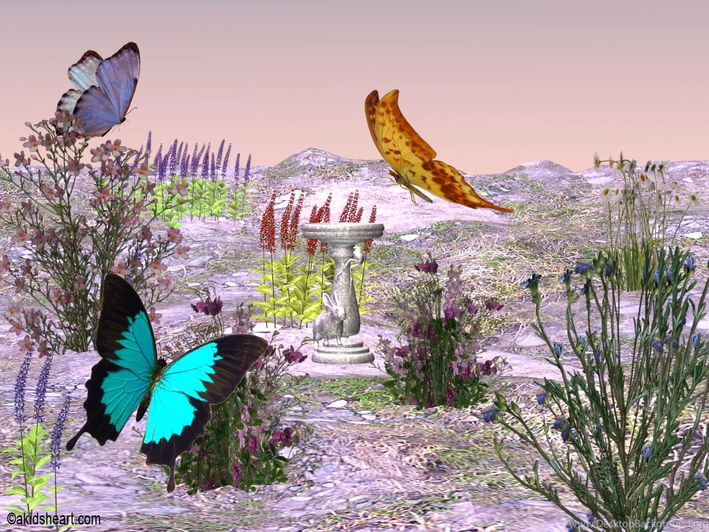 Butterfly Desktop Wallpapers