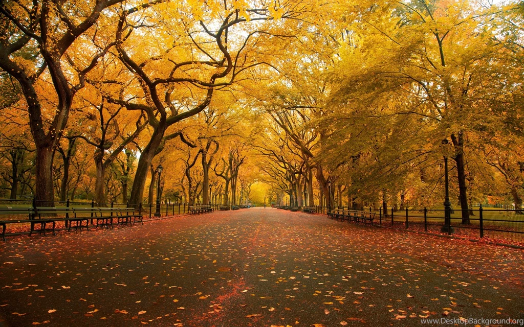 Images Of Nature