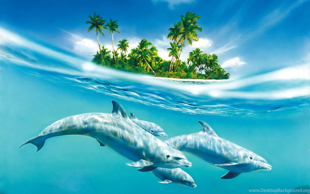 Wallpapers Pics