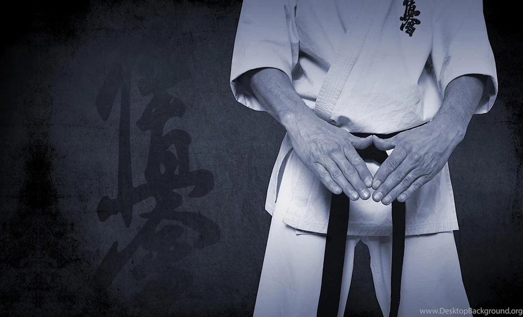 Karate Live Wallpapers Android Apps And Tests AndroidPIT