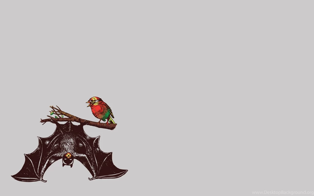 Download Batman Robin Wallpapers 1440x900