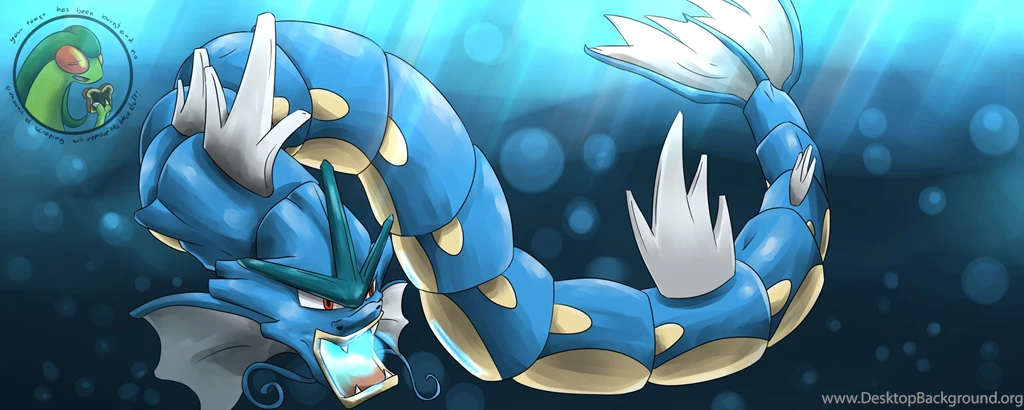 Pokemon Dragons Gyarados Wallpapers