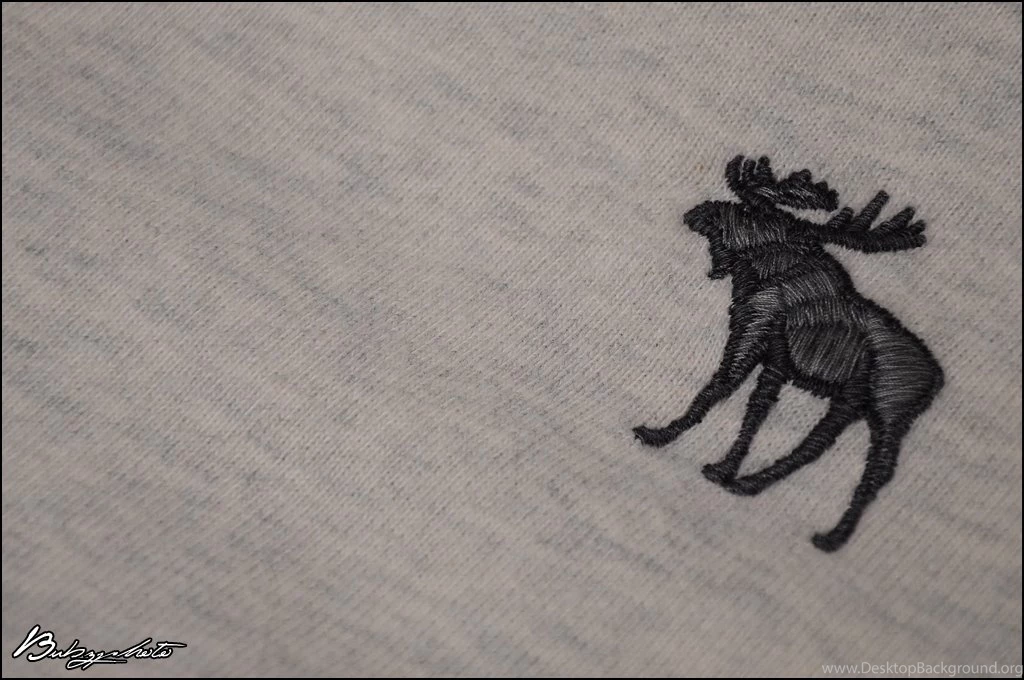 Abercrombie:Moose By Bubzphoto On DeviantArt