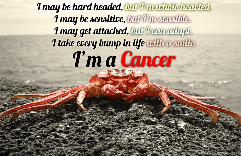 JiPoshy: IS CANCER OVER SENSITIVE UNDER THAT HARD SHELL?