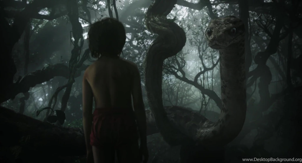 The Jungle Book Movies Wallpapers