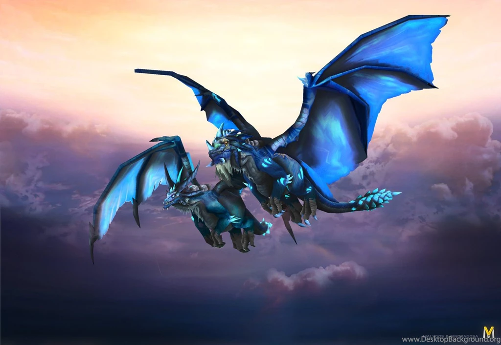 Blue Dragonflight On HailTheLife Binder   DeviantArt