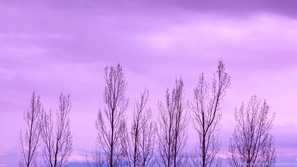 Amazing Purple Sky Backgrounds For Desktop Widescreen And HD ...