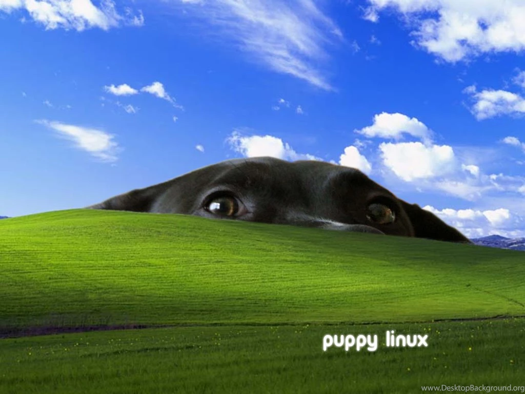 Puppy Linux Discussion Forum :: View Topic Puppy Wallpapers