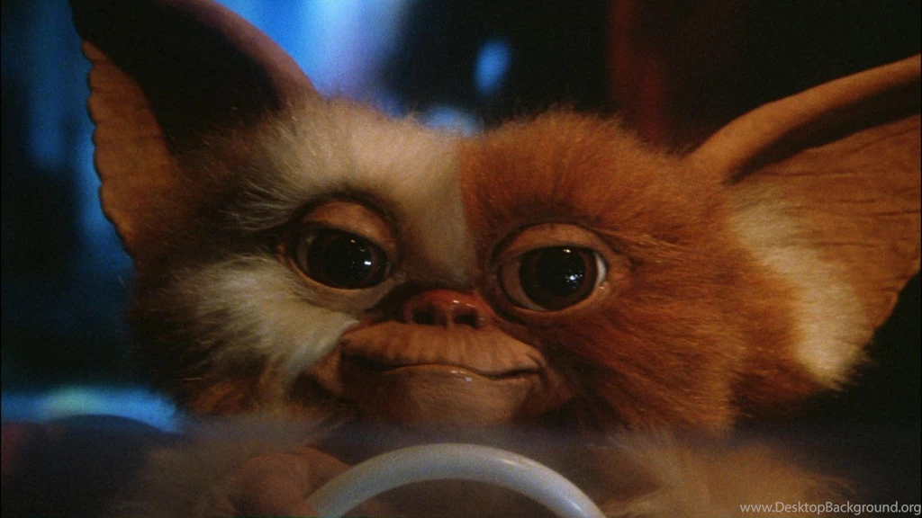 Movies Gremlins Gizmo Movie Stills Wallpapers