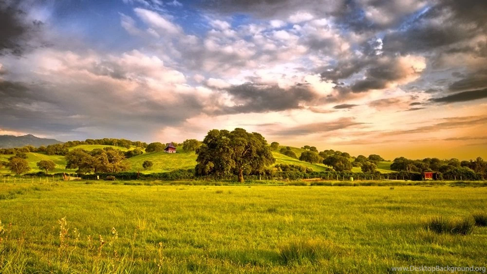 Silent Nature Wallpapers