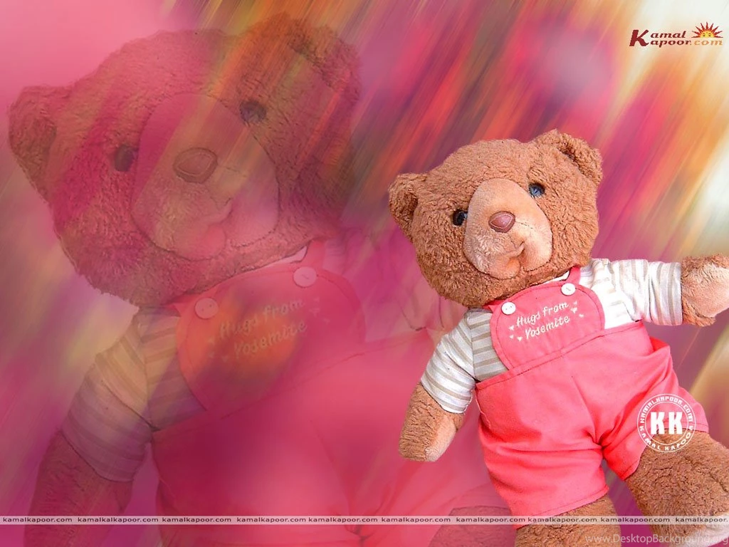 Posters Of Teddy Bear, Colour Wallpapers Teddy Bear, Download ...