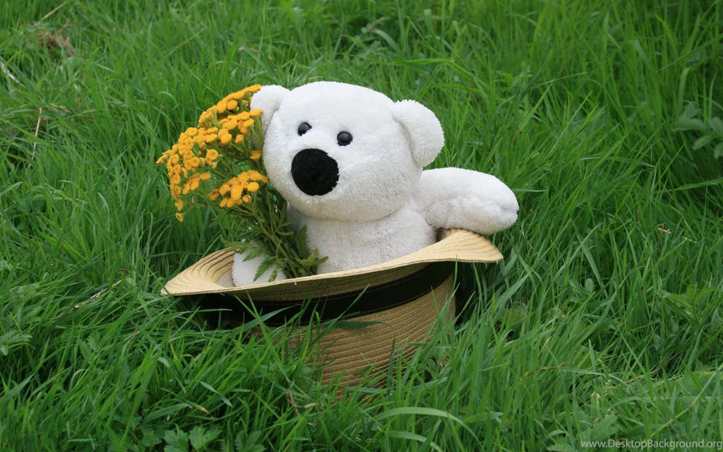 Download Cute Teddy Bear Wallpapers Free By Udhao.net