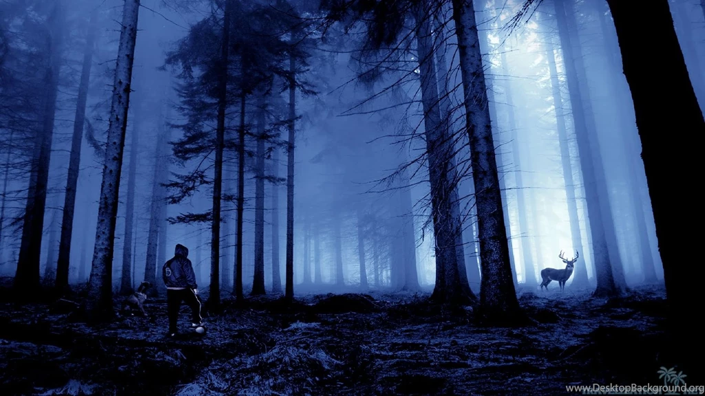 Wallpapers Faires Fairies Hiding Dark Forest 1920x1080