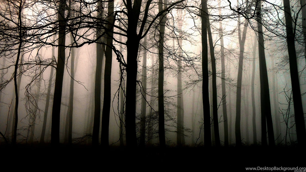 1920x1080px Interesting HD Dark Forest Walls 960.33 KB
