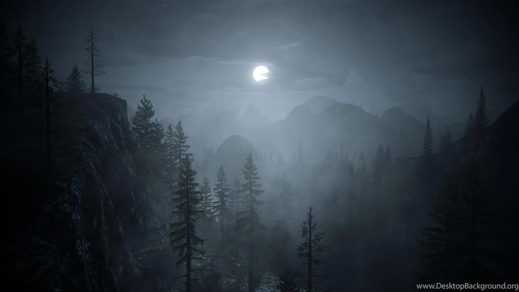 Page 1250 The Dark Forest Wallpapers Wallpapers Hd Wallpapers