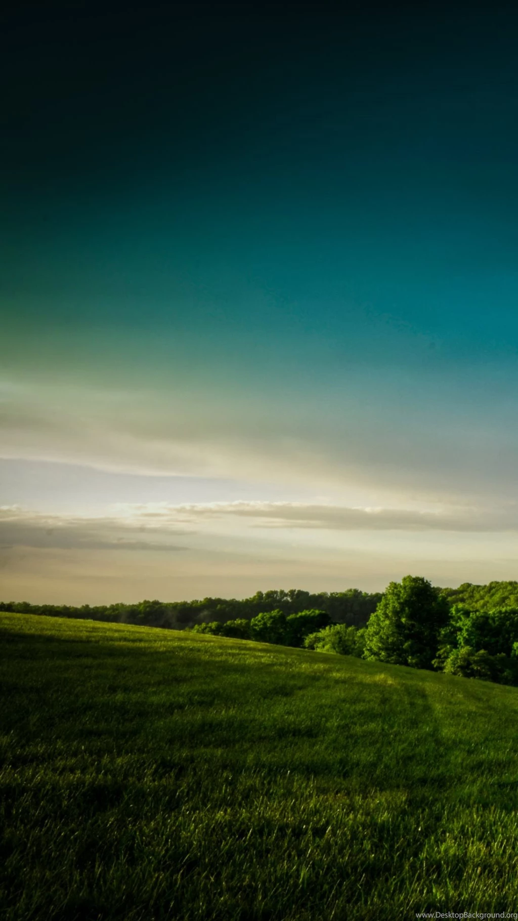 Cool Samsung Galaxy S5 Wallpapers 439