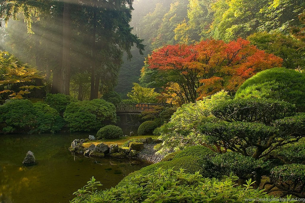 The Japanese Garden Wallpapers HotFreeWallpaper.com
