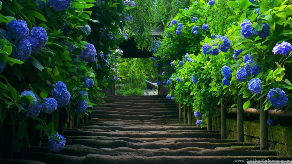 Japanese Gardens Wallpapers Wallpapers Cave
